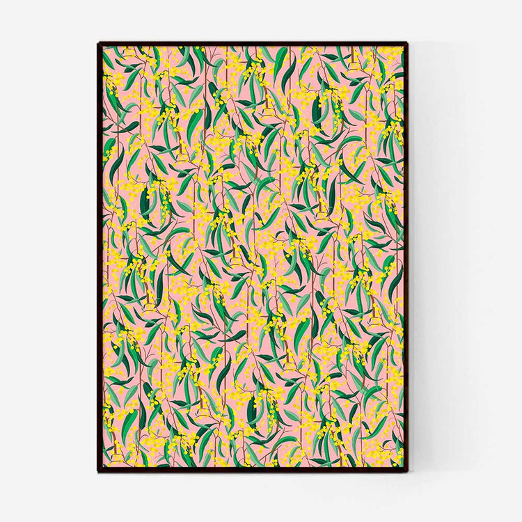 eucalyptus-yellow-blossom-pink-background.jpg_1