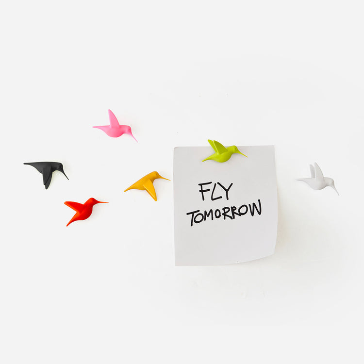 humming-bird-message.jpg