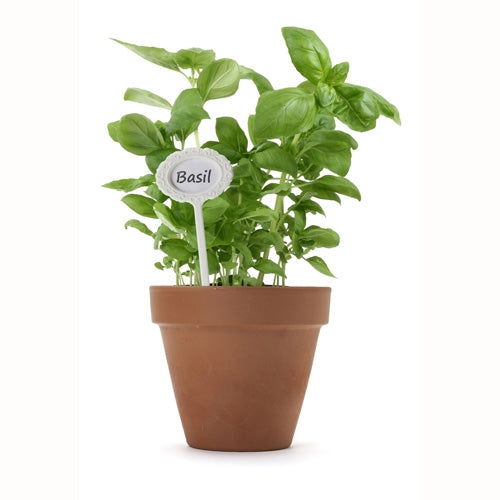 La Bella-Garden Nameplates