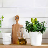 Leafers - Herb snips