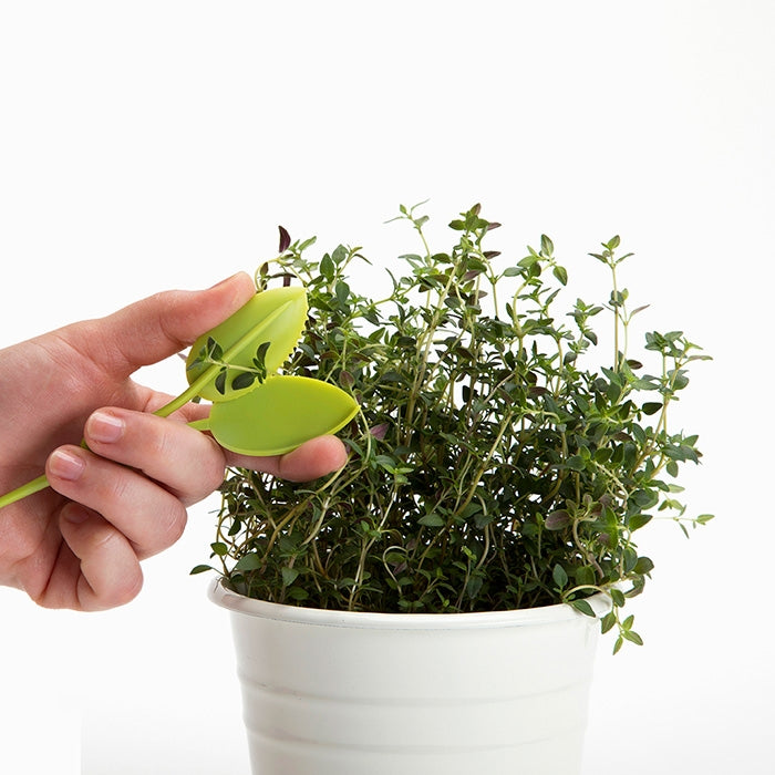 Leafers - Herb snips