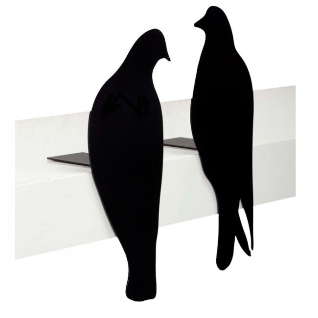Love Birds