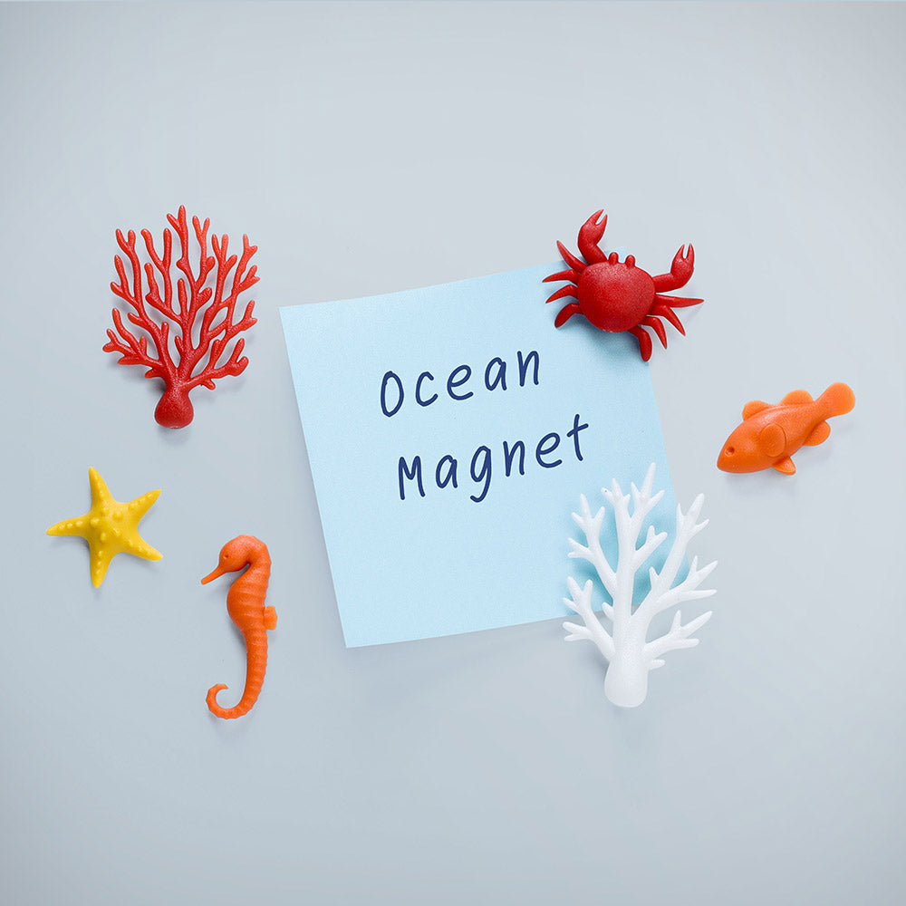 ocean-ecology-magnets4.jpg