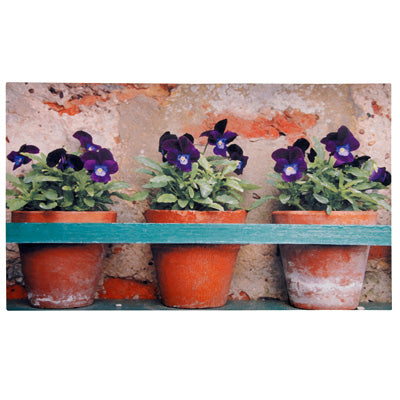 Printed Doormat - Flower Pots