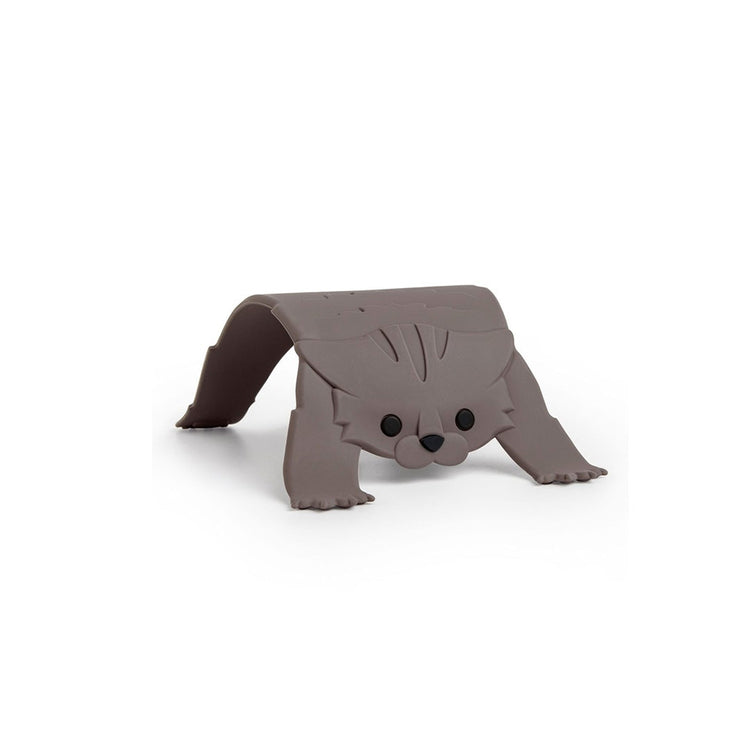 scaredy-cat5.jpg
