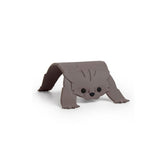 scaredy-cat5.jpg
